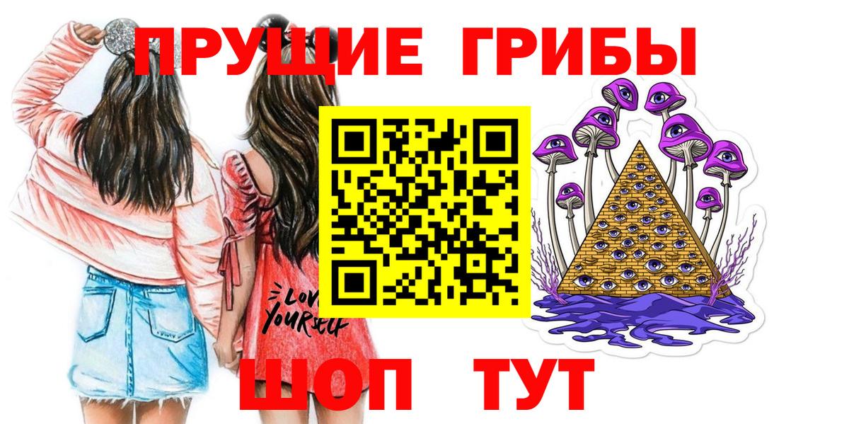 Псилоцибиновые грибы мицелий  где купить   Гатчина  Псилоцибиновые грибы Psilocybe  Вход с VPN 